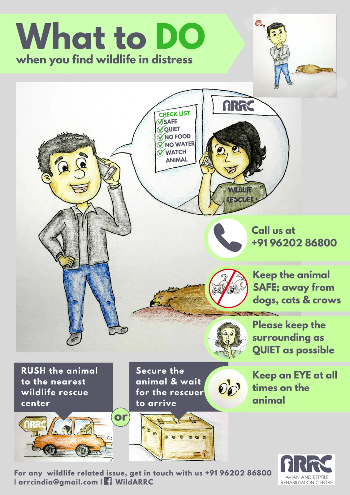 ARRC poster, What to do when you find wildlife in distress: call +91 96202 86800, keep the animal safe from dogs, cats and crows, keep the surroundings quiet, keep an eye on the animal, then rush it to the nearest wildlife rescue centre or secure it in a ventilated box and wait for the rescuer