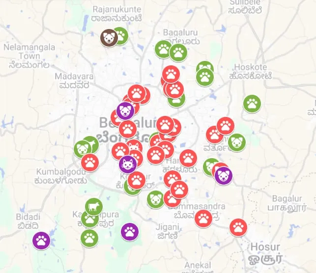 Map of Bengaluru and its outskirts dotted with paw-print markers for animal shelters, clinics and rescue centres, from Rajanukunte in the north to Hosur and Bidadi in the south