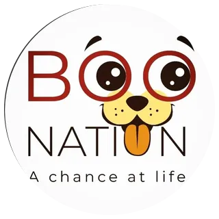 Boo Nation
