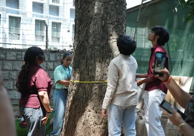 Tree Mapping, Malleswaram