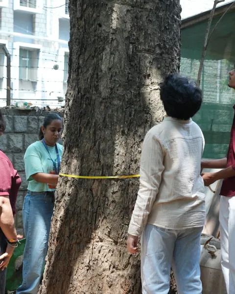 Volunteers measuring a heritage tree's girth in Malleswaram